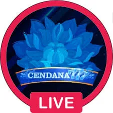 CENDANA777 - Game Bingo Menarik dan Seru