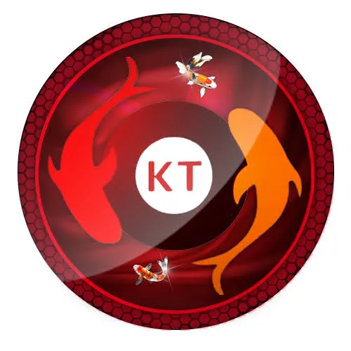 KOITOTO - Pengalaman Seru Menjadi Miliarder Muda